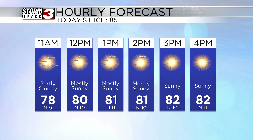 Hourly Forecast